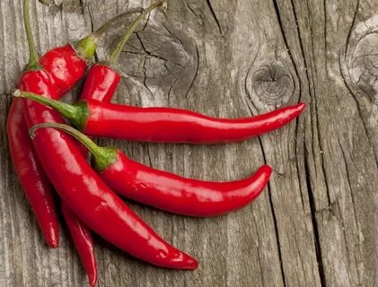 Chilli pepper