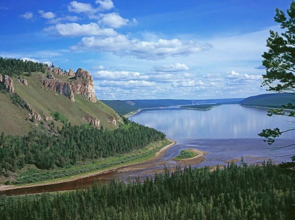 Лена самая крупнейшая река. Река Лена. Республика Саха Якутия река Лена. Река Лена в Якутии. Сибирь река Лена.