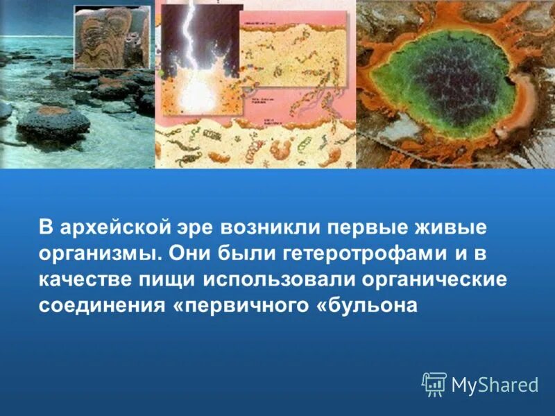 в архейскую эру впервые появились. сине-зеленые водоросли в архее. в архейскую эру впервые появились. архейская эра первые живые организмы. в архейскую эру впервые появились.