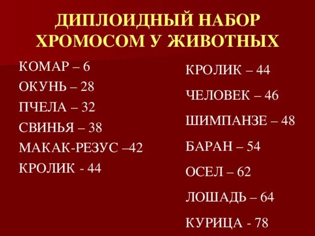 У шимпанзе в соматических клетках 48. Диплоидный набор хромосом человека. Количество хромосом у животных таблица. У человека 46 хромосом в диплоидном наборе. Диплоидный набор.