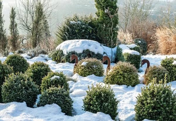 Broughton Grange Tom Stuart-Smith Winter plants, Winter garden, Landscape design