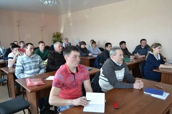 Погода новопетропавловское курганская