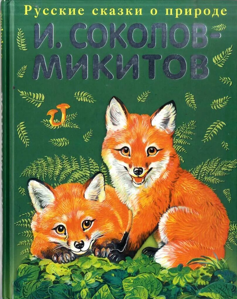 Микитов рассказы о природе. Ивана соколова-микитова о природе и животных. книга русский лес соколов-микитов. книга русские сказки соколов-микитов. иван сергеевич соколов-микитов сказки.