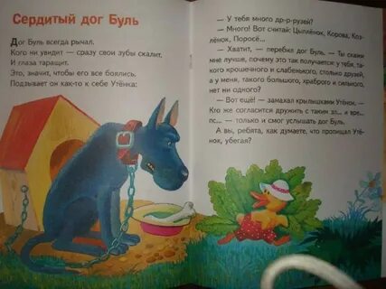 Рассказы дог