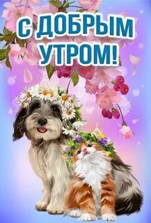 Пожелания с добрым утром собак
