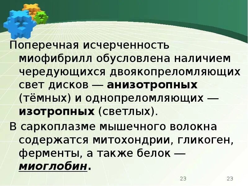 Имеет поперечную исчерченность. Поперечная исчерченность мышечного волокна. исчерченность миофибрилл обусловлена. поперечная исчерченность обусловлена. чем обусловлена исчерченность.