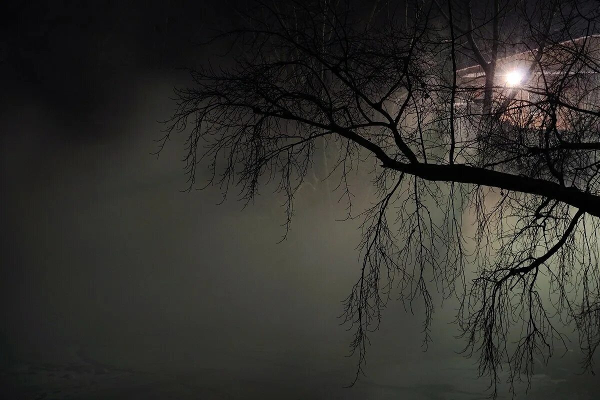 Туман. Туманная ночь. Ночной туман. Мгла природа. Окутанный мрачным