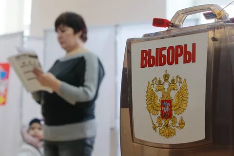 11 октября выборы