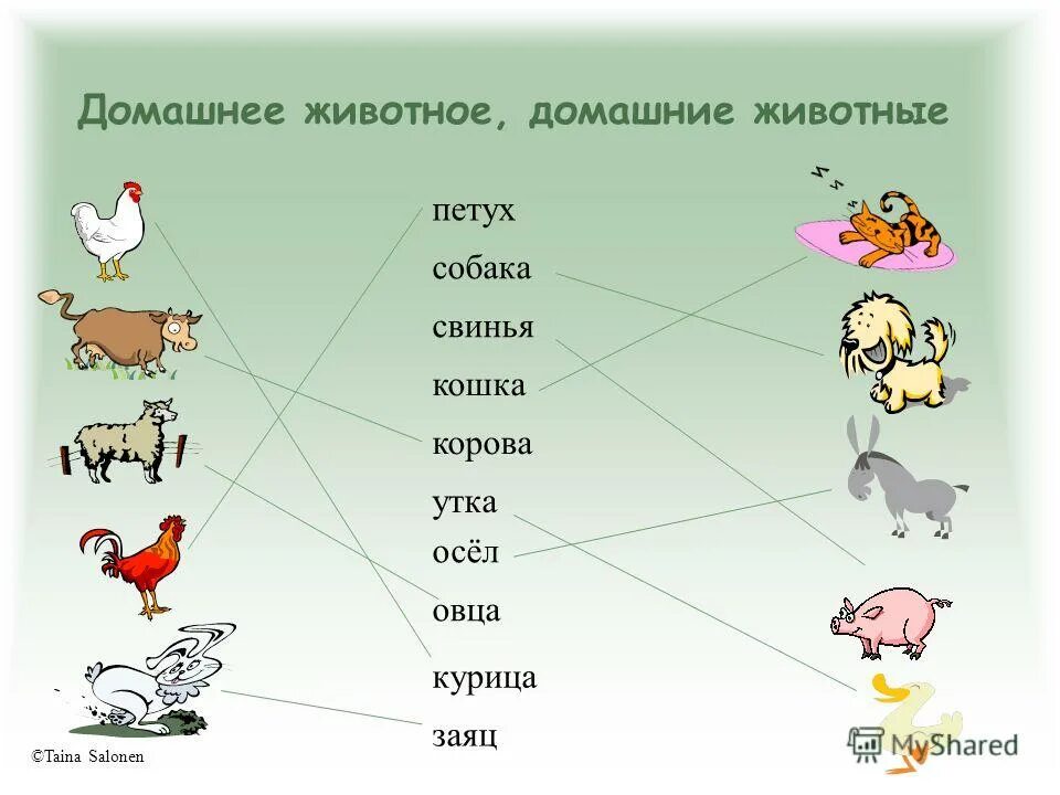 Тема домашние животные 3 класс. Клички животных. Клички домашних животных. Клички животных клички животных. Домашние животные слова.