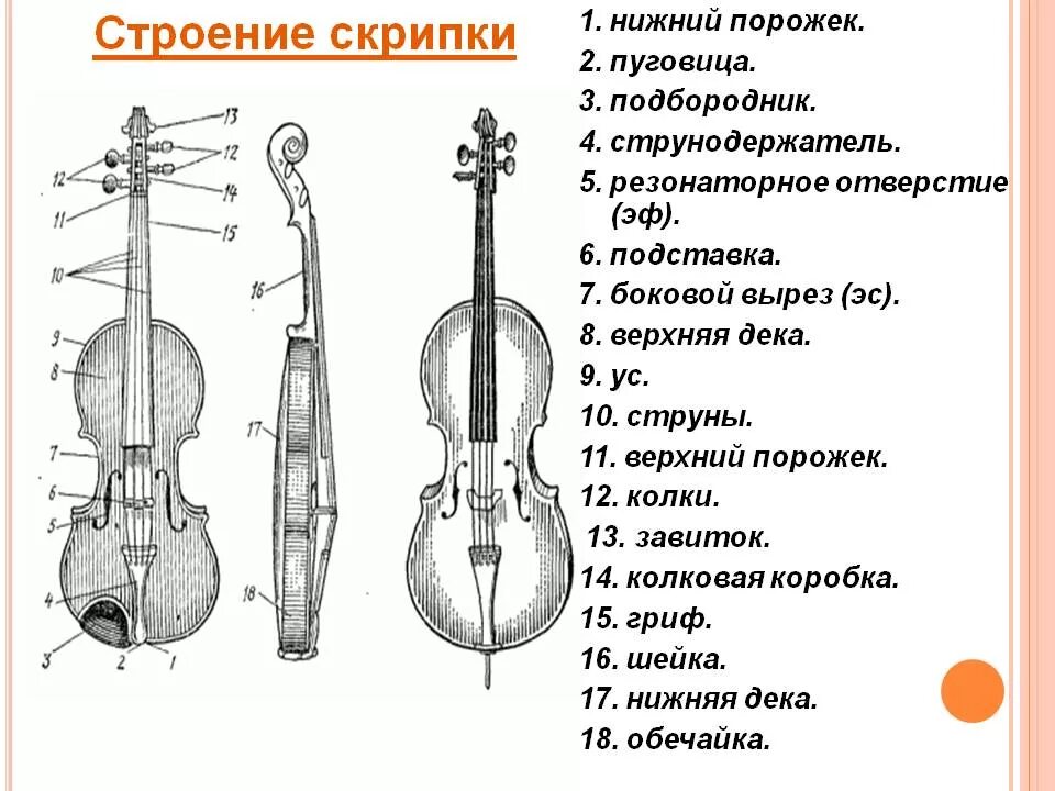 Скрипка методика. Составные части скрипки схема. Строение струнных инструментов. Строение смычковых инструментов. Строение контрабаса схема.