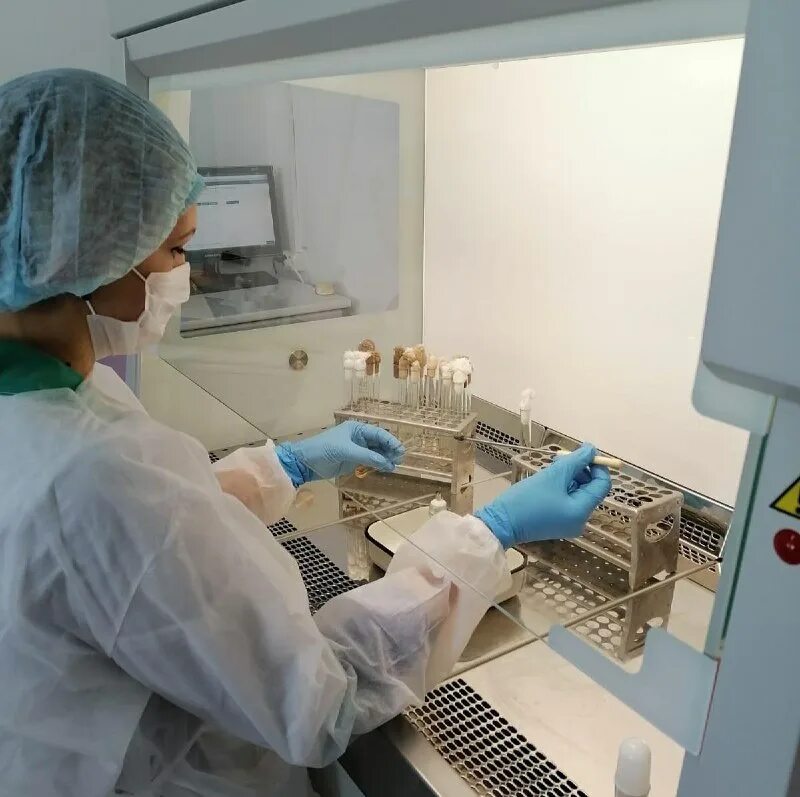 Центр ветеринарии. 2 ветеринарии. Ветеринарный офтальмологический центр. 2 ветеринарии. Обучиться на ветеринара.