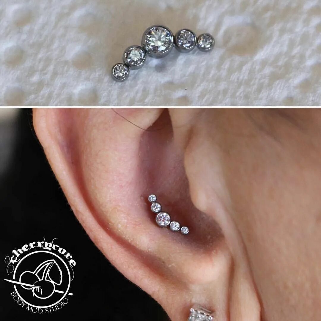 Пирсинг индастриал конч. Украшения для прокола конч. Серьга лабрет хеликс. Трагус хеликс индастриал. Украшения для прокола конч.