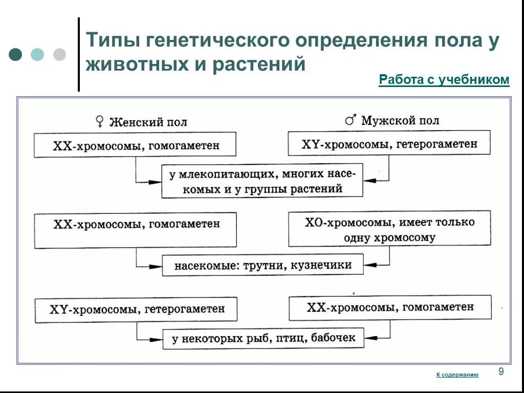 Когда происходит генетическое определение пола у человека. Типы определения пола. Типы генетического определения пола. Тип определения пола у человека. Типы хромосомного определения пола.