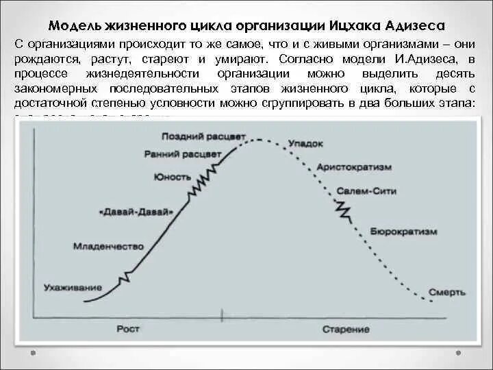 Модель жизненного цикла Ицхака Адизеса. Жизненный цикл организации по Адизесу. Модель жизненного цикла организации по Адизесу. Теория жизненного цикла Ицхака Адизеса.