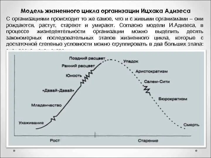 Анализ цикла организации. Модель жизненного цикла Ицхака Адизеса. Жизненный цикл организации по Адизесу. Модель жизненного цикла организации по Адизесу. Теория жизненного цикла Ицхака Адизеса.