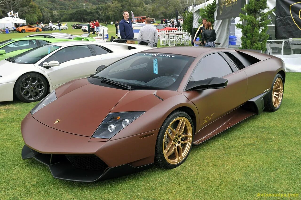 Какой цвет машинка. Lamborghini Murcielago SV. Ламборджини Murcielago коричневая. Lamborghini Murcielago SV цвета. Lamborghini Murciélago SV 2010 цвета.