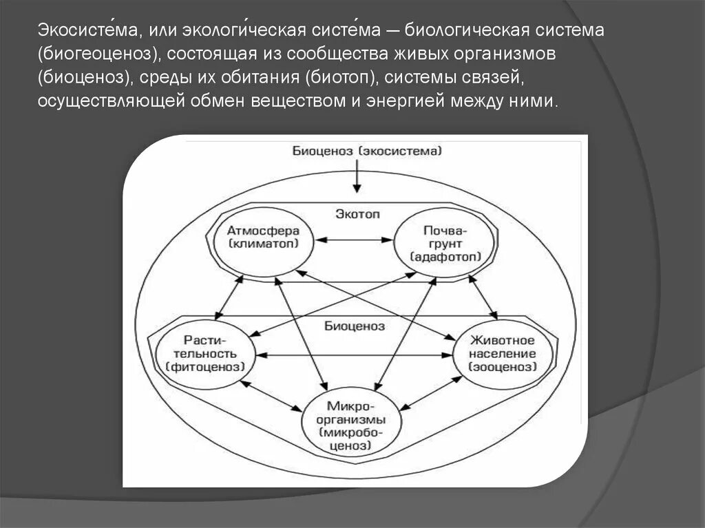 Связь между экосистемами. Экосистема, или экологическая система. Биогеоценоз. Структура экосистемы биология. Схема биогеоценоза и экосистемы.