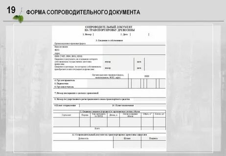 Сопроводительный на транспортировку древесины
