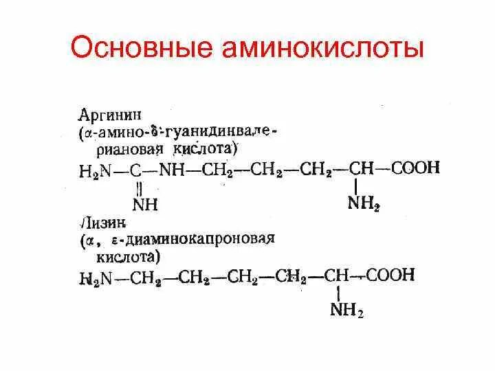 Кислотно основные аминокислоты