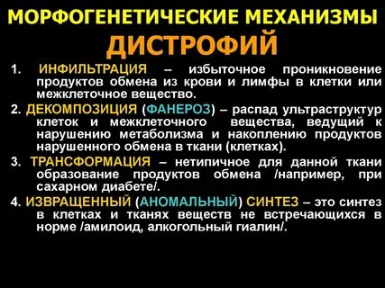 Механизмы развития дистрофии