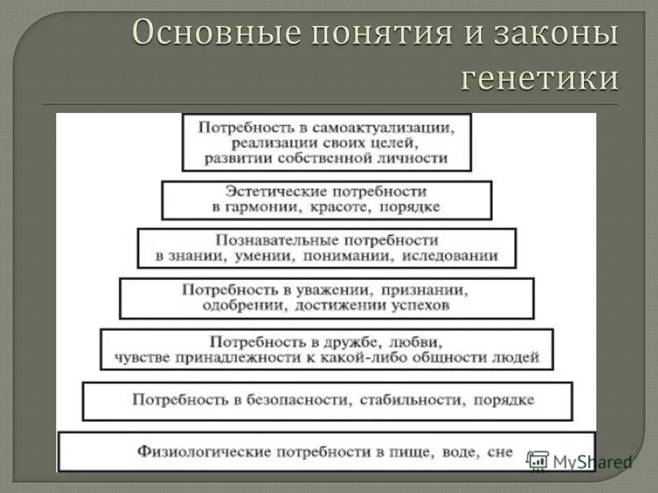 Законы генетики установленные. Законы генетики. Основные законы генетики. Основные закономерности генетики. Основные законы генетики таблица.