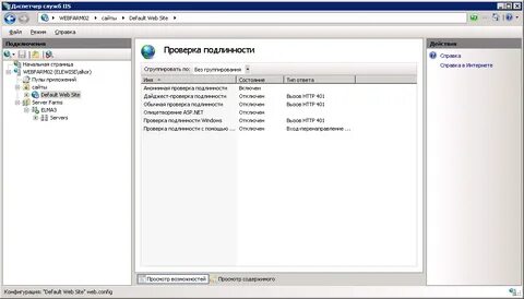 Диспетчер iis