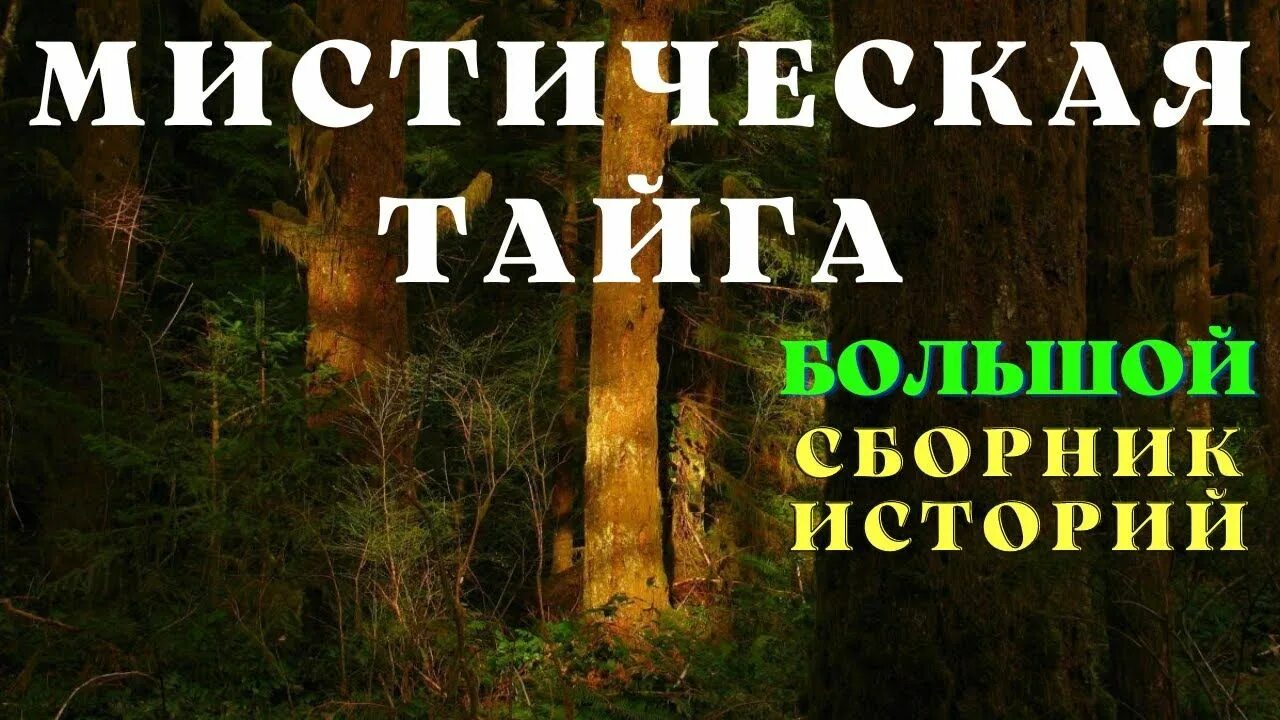 Мистический канал. Ужасы тайги рассказы. Ужасы тайги рассказы. Ужасы тайги рассказы. Мистические истории про тайгу.