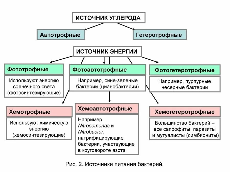 Какие различают бактерии по способу питания кратко. Физиология микроорганизмов микробиология схема. Физиология микроорганизмов микробиология таблица. Физиология микроорганизмов питание бактерий схема. Физиология микроорганизмов питание бактерий микробиология.