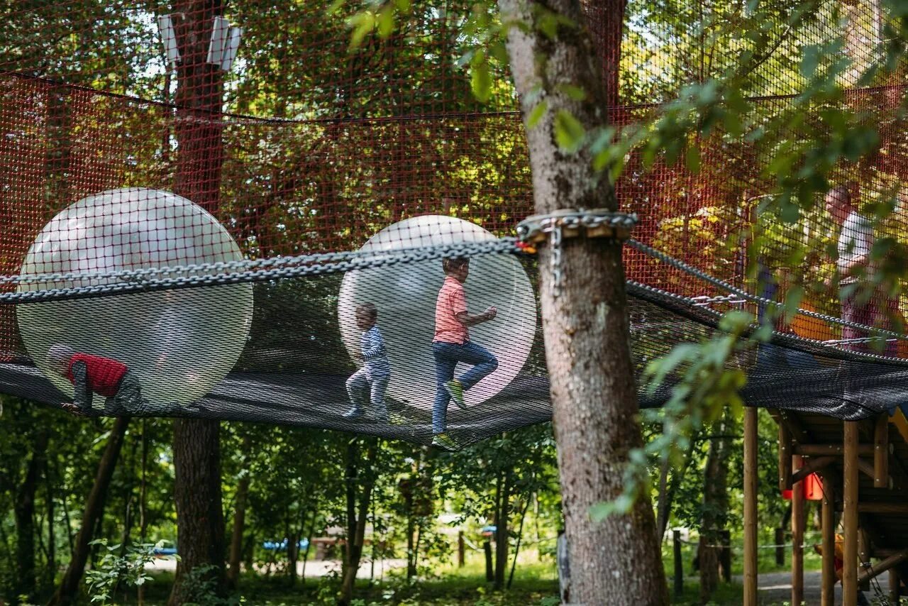Симагино ленинградская область парк озорные белки. Беличье колесо. Парк бешеные белки в спб. Озорные белки парк санкт-петербург. Озорная белка парк развлечений спб.