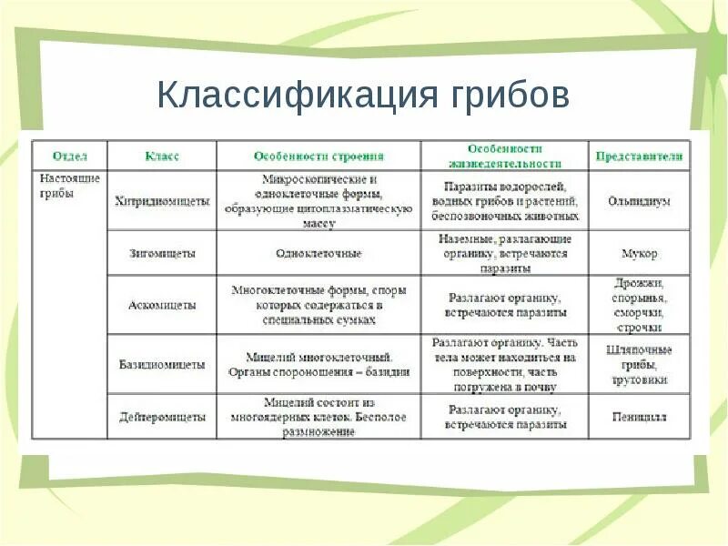 Систематические группы характерные особенности примеры таблица Страны участницы 30 летней войны таблица 7 класс 58 фото