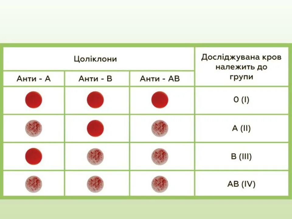 Может измениться группа крови в течение жизни. Группа крови Цоликлоны резус фактор. Резус фактор цоликлонами таблица. Цоликлон анти а группа крови. Цоликлон группа крови резус.