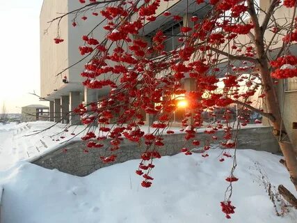 Красно каменск