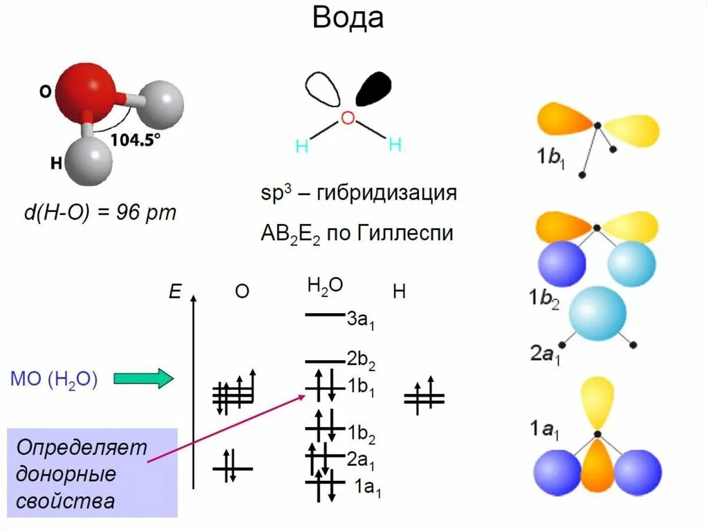 Гибридизация воды sp3. Sp3 гибридизация воды. H2o Тип гибридизации. Sp3 гибридизация в молекуле воды. Элементы sp3 гибридизации.