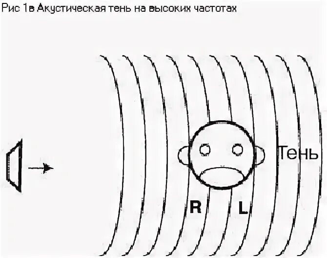 Тень от человека. Четкая акустическая тень. Четкая акустическая тень. Четкая акустическая тень. Четкая акустическая тень.