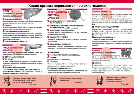 Профилактика внутренних органов