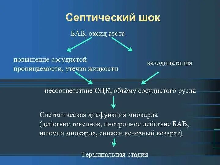 Патогенез септического шока. Септический ШОК патогенез. Патогенез септического шока патофизиология. Патогенез септического шока в акушерстве. Клиническая картина септического шока.