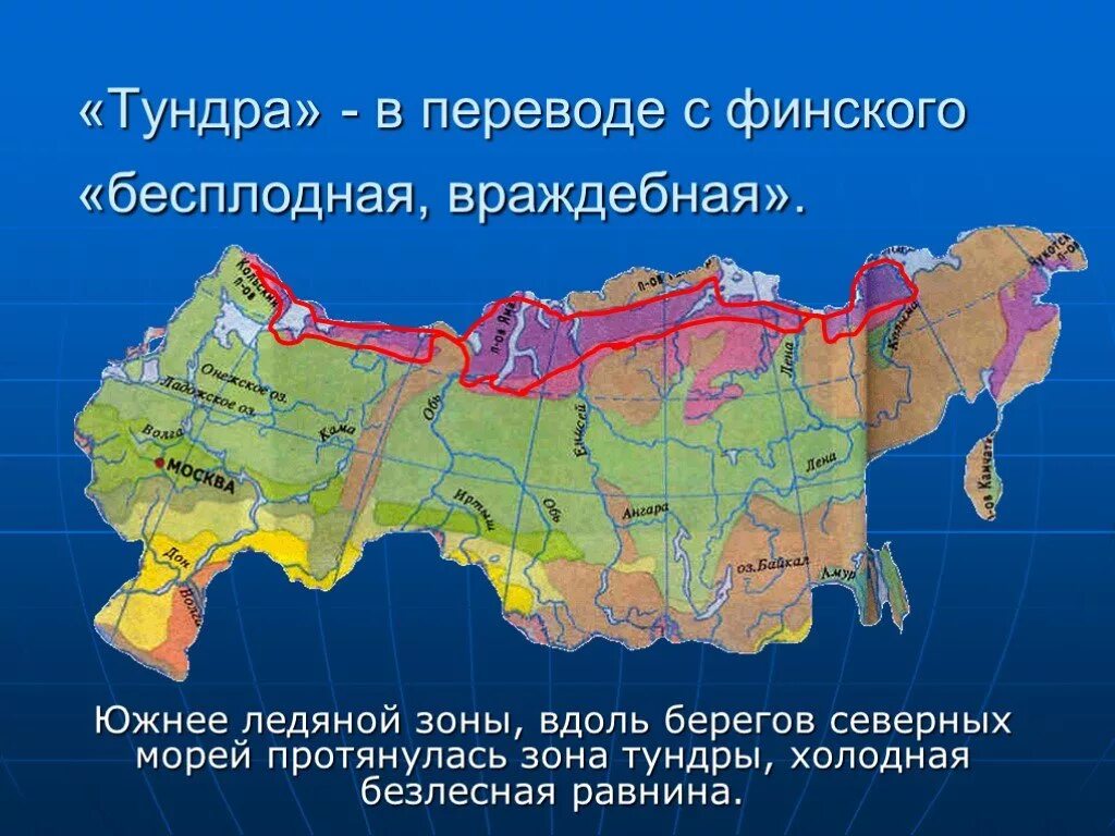 Какая зона располагается в самой северной части. Тундра местонахождение природной зоны. Тундра на карте. Тундра на карте России. Где находится тундра на карте.