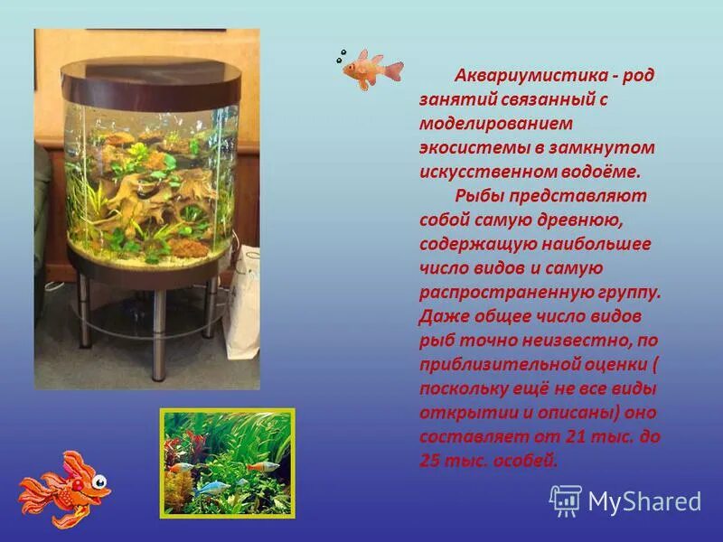 Какие организмы живут в аквариуме биология 5. Проект аквариум. Презентация на тему аквариум. Аквариум и его обитатели. Проект аквариум и его обитатели.