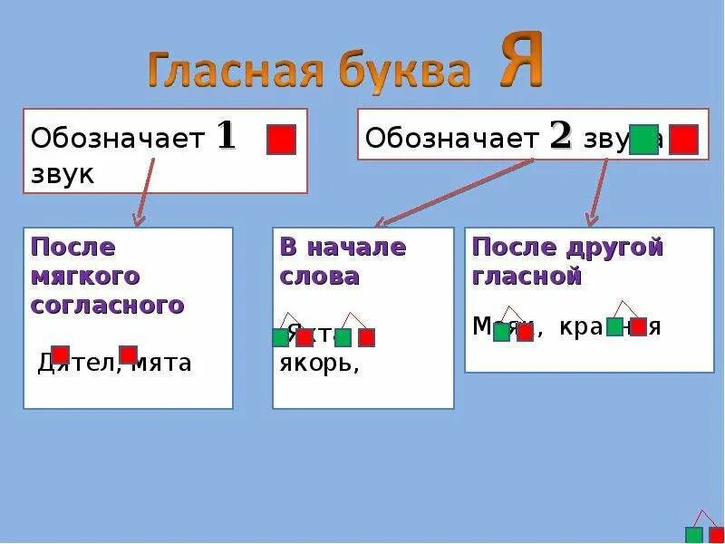 Рисуют сколько звуков. Звук и буква я. Буква я звук я. Буква я обозначает 1 звук. Правило про букву я.