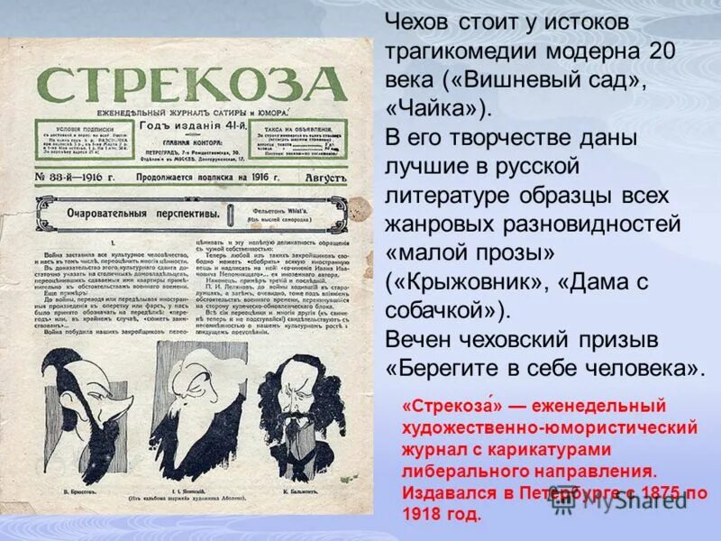чехова стояла. чехов чайка книга. чехов и герои его произведений. чехов о семье чеховых. чехова стояла.