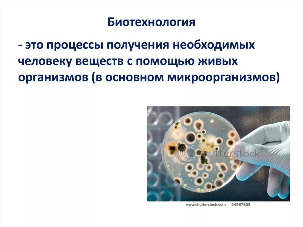 Микроорганизмы используемые в биотехнологии. Биотехнология. Биотехнология микроорганизмов. Применение биотехнологий. Биотехнология это в биологии.