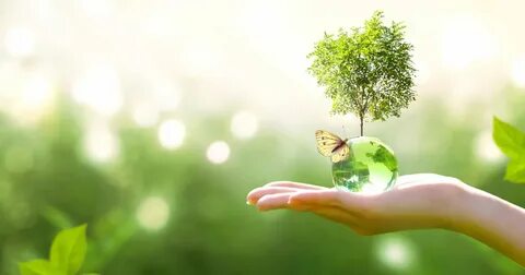 Environment background