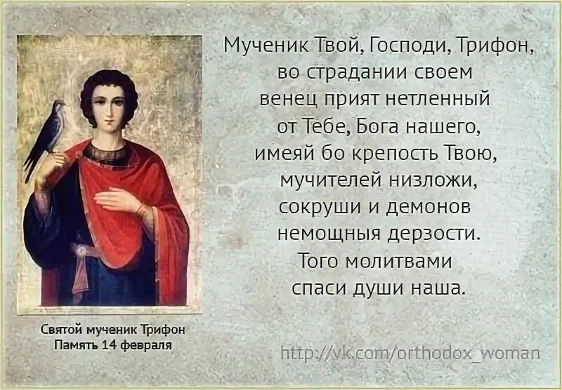 Молитва св трифонов. Память Святого мученика Трифона. 14 Февраля память мученика Трифона. Тропарь Трифону мученику.