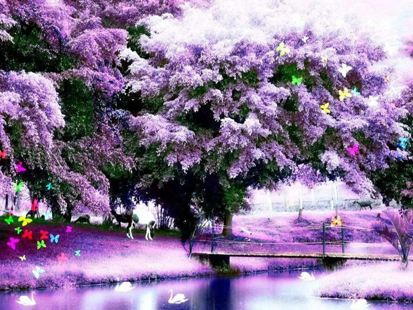 Сирень мейера куст. Однажды как зимой кусты сирени. Однажды как зимой кусты сирени. Куст сирени куприн. Черемуха куст.