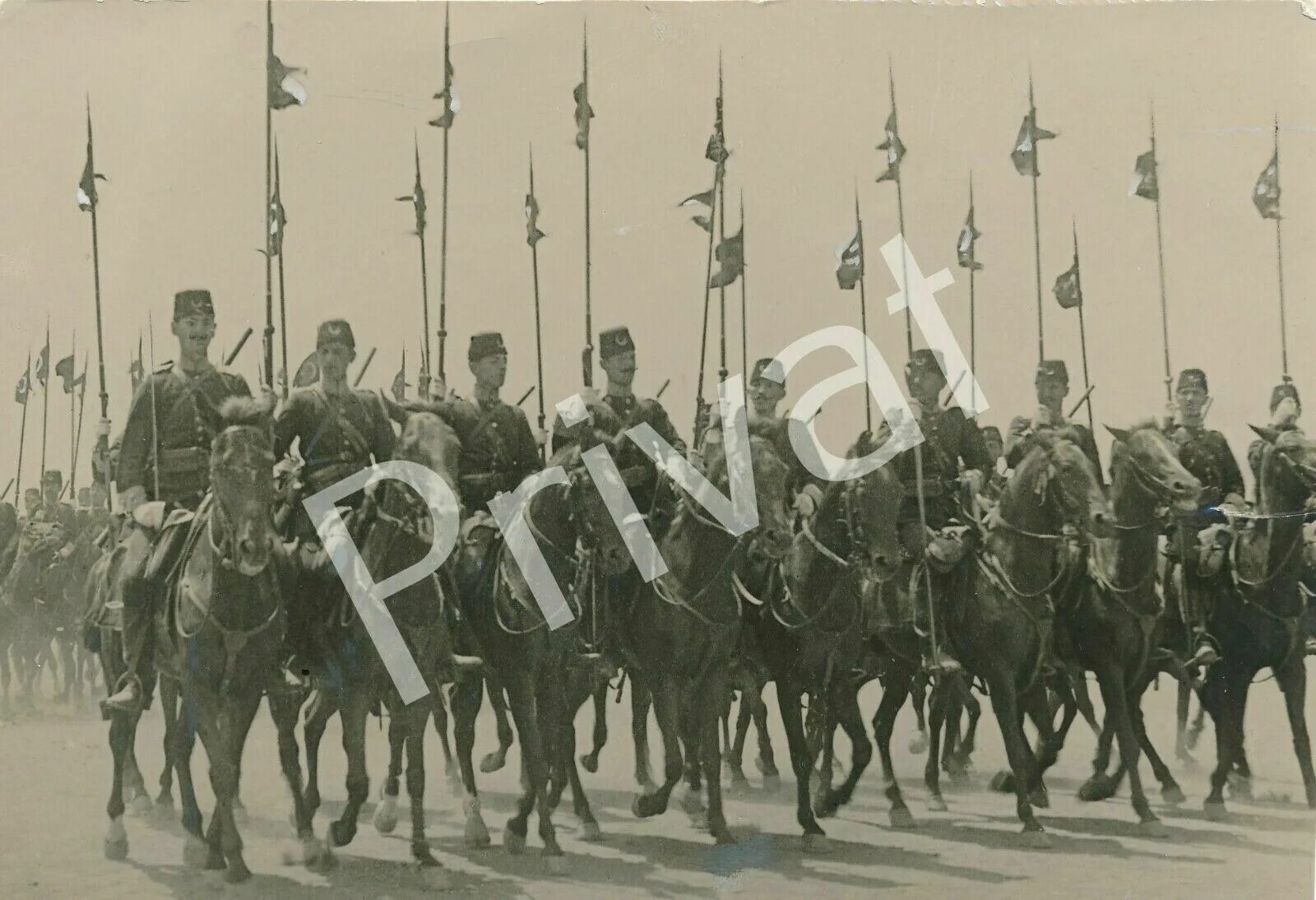 Турецкое войско называлось. Османская Империя армия 19 век. Османская кавалерия первая мировая. Армия Османской империи 1914.