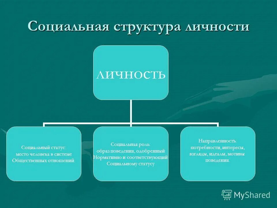 Положения человека в социальной структуре. Социальная структура личности. структура личности. структура социальной роли. структура социального статуса личности.