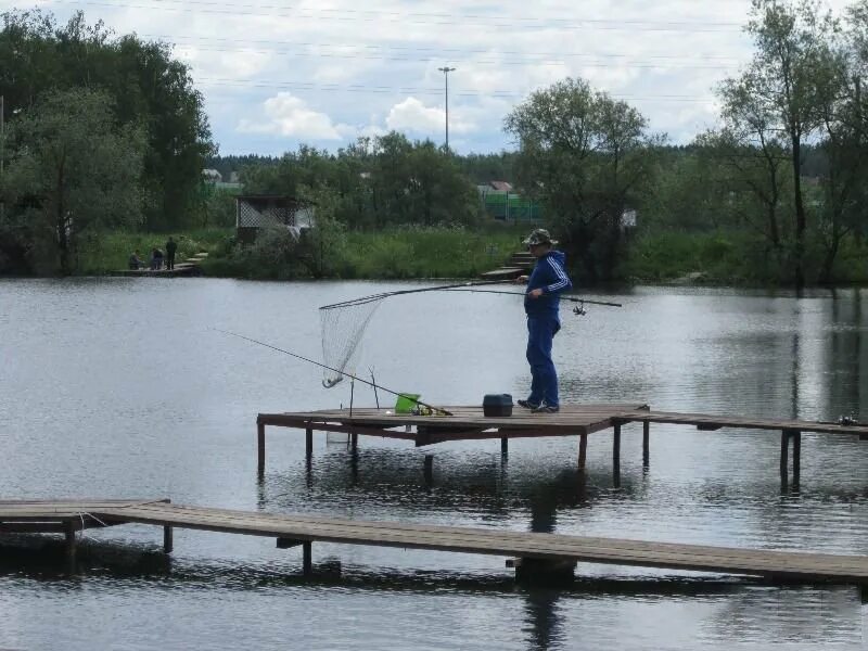 Платная рыбалка трубицино. Рыбалка в Роял Фиш. Подзоричи Брянская область. Платная рыбалка. Платная рыбалка Козельск.