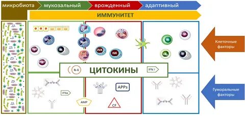 Вирус нарушающий работу иммунной системы человека