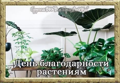 День благодарности растениям