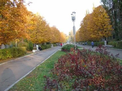 Городской парк авдеевка